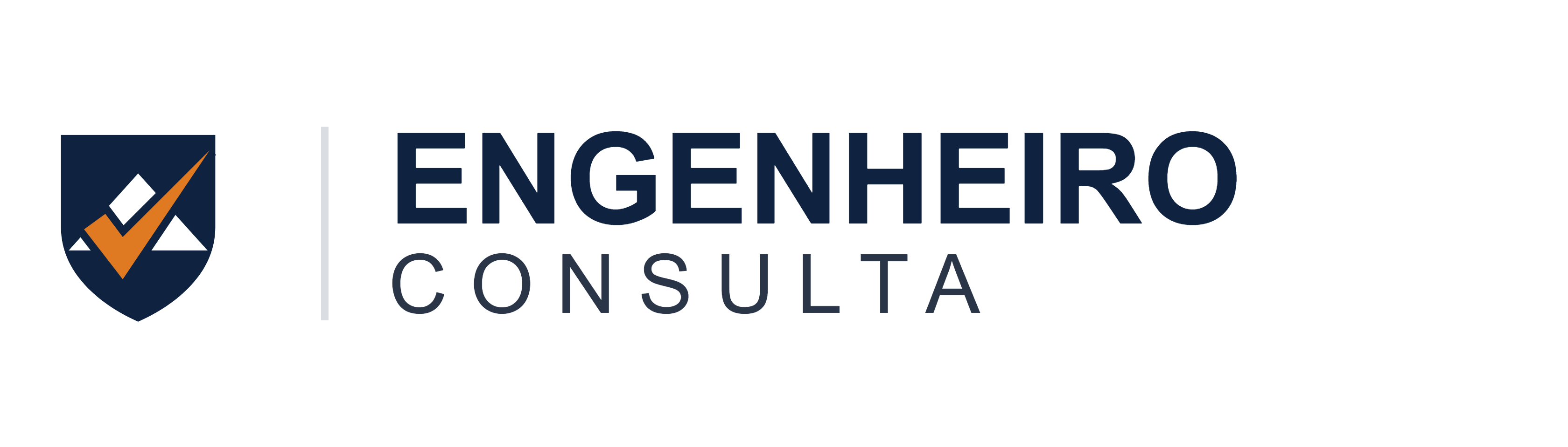 Engenheiro Consulta
